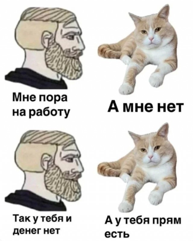 К котовторнику: подборка картинок-баянов с котиками и про котиков. Выпуск 13
