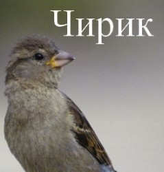 Депутаты ГД предложили ввести купюру номиналом 10 тыс. рублей