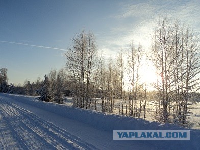 Зимняя дорога