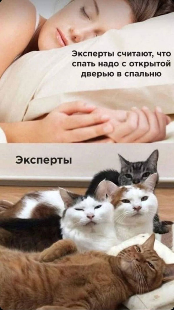 Смещались в кучу буквы, рамки, картинки