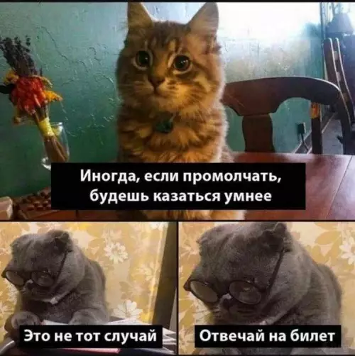 Картиночки, баянчики 24 февраля