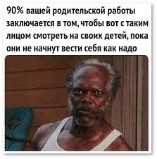 Разница работы пастушьих собак. Бордер-Колли и Мини-Аусси