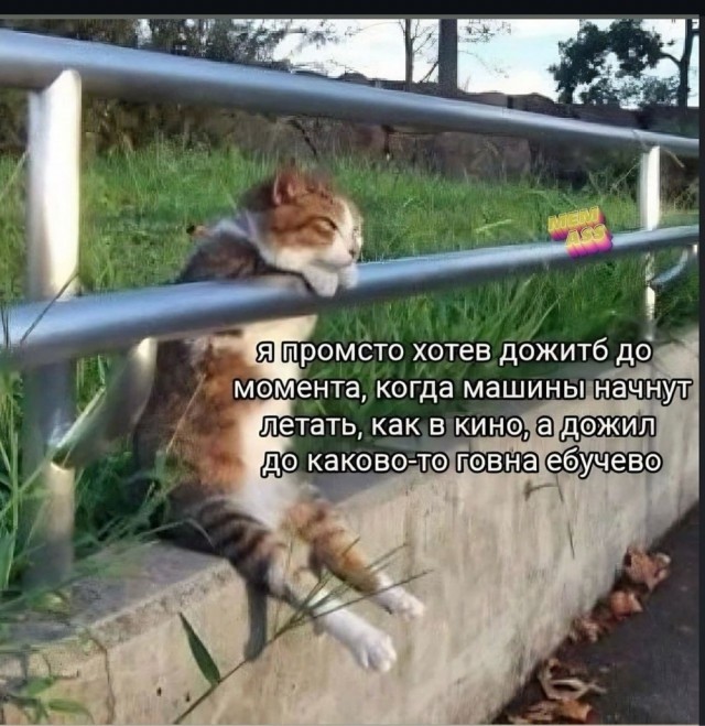 Так себе картинки 22.06.26