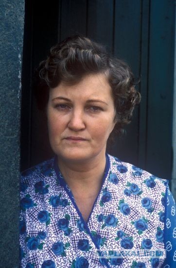 Умерла «голубиная леди» из «Один дома-2» — ирландская актриса Бренда Фрикер