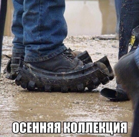 Прикольные и просто красивые картинки 25.09.2026