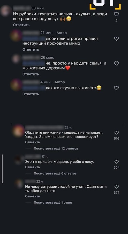 Привлекать к ответственности людей, подкармливающих и провоцирующих медведей, требуют в России