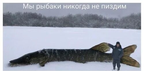 Томская область. Щука 15,5 кг