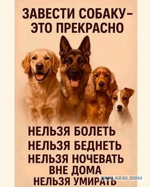 *БАЯН*Просто жизнь, это к котовторнику.