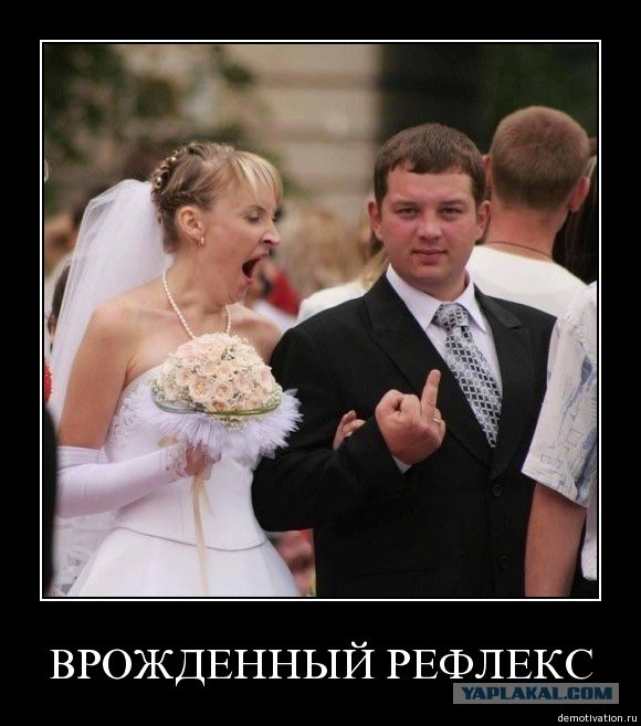 Опять демотиваторы!