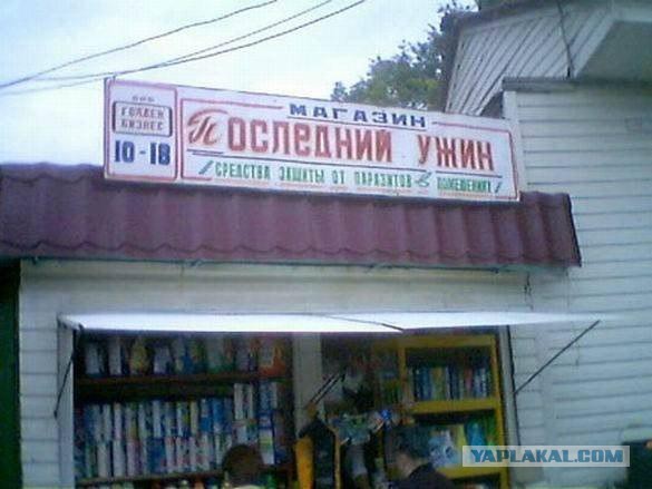 Маразмы года 2013