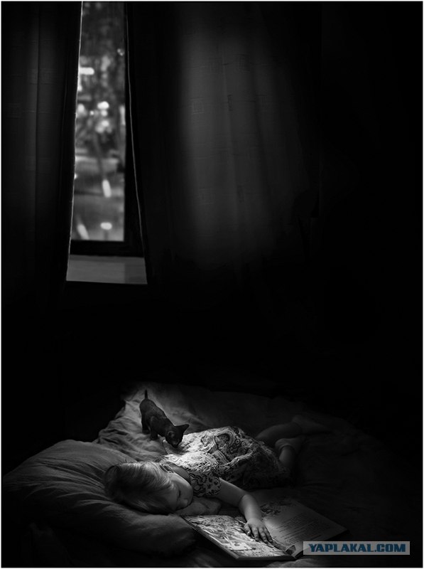 Фото(Просто) ,тема -просто.