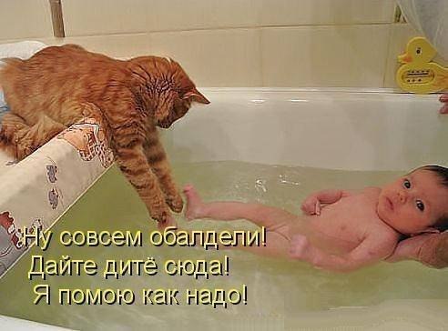 Смешные комментарии из социальных сетей.