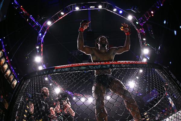 БОКС/MMA....