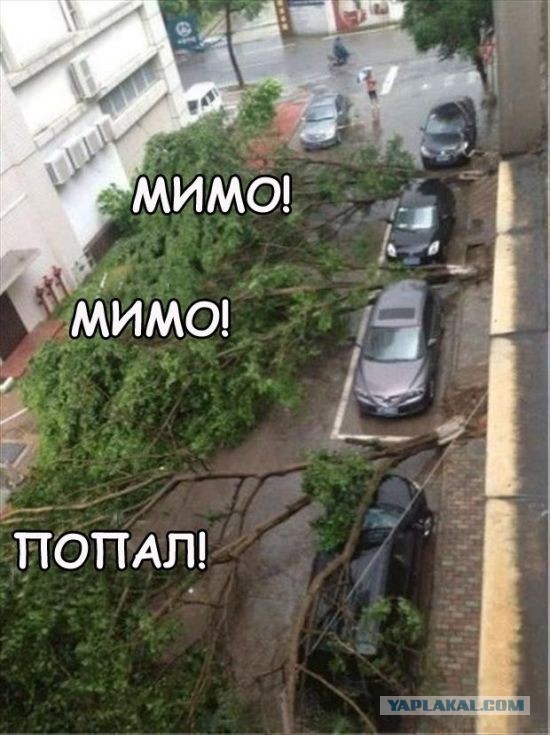Wargaming 12, WoT сотоварищи