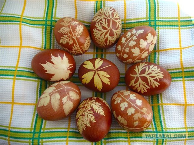 Девушкам лучше не носить купальники таких фасонов