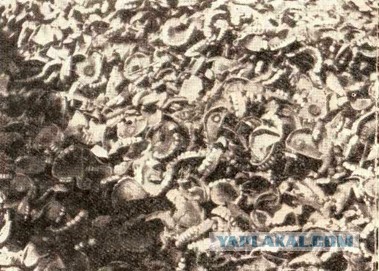 Германия не смогла забрать золотой запас из ФРС СШ