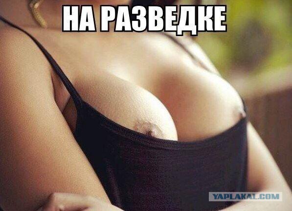 Комментарии из соцсетей, картинки