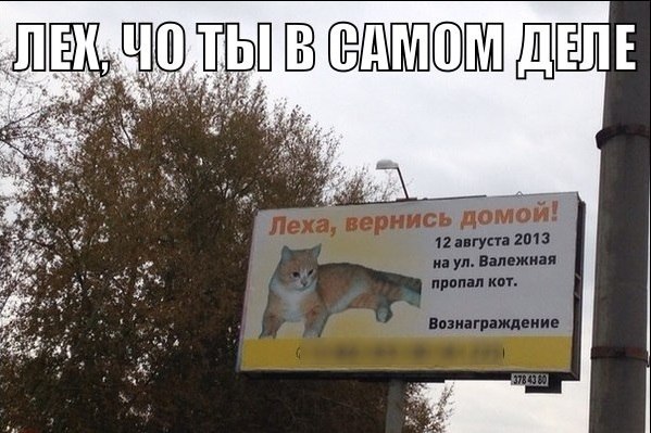 Весёлые картинки на субботу