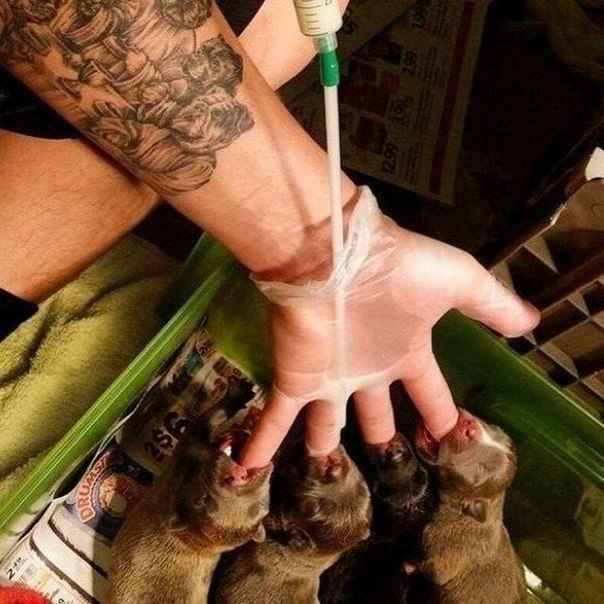 Смешные картинки