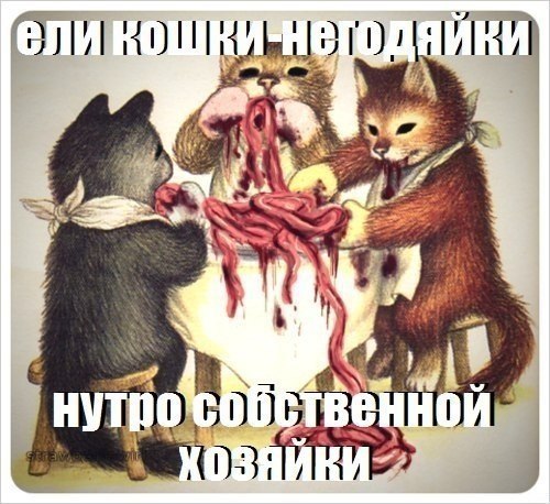 Труба коту!