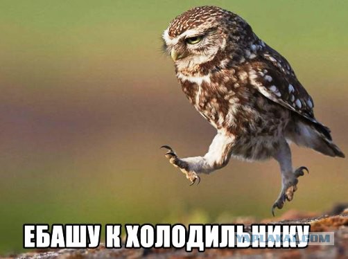 Обожания сала пост