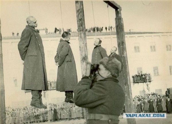 Банду геть! кричали они