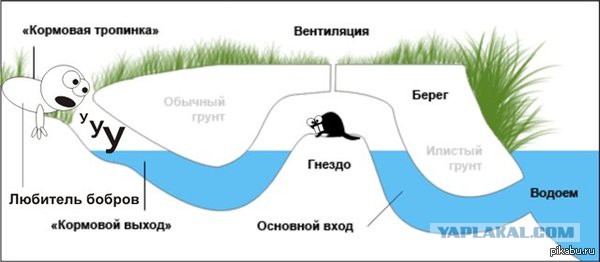 Курс доллара в ближайшее время. Часть 2.