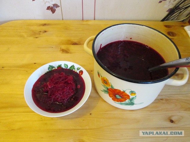 Свекольник «Раздельный»