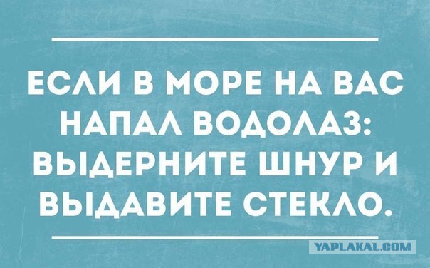 Картинки