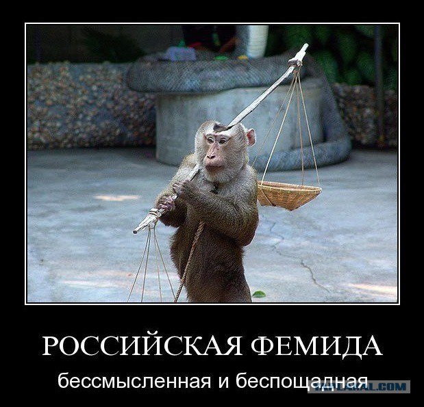 О равенстве всех перед законом