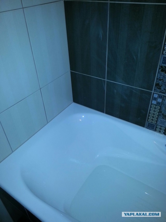 Боремся с плесенью