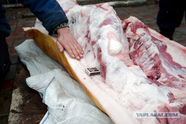 Таможня запретила ввоз домашнего сала с Украины