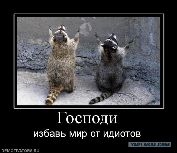 А где вы храните плаценту?