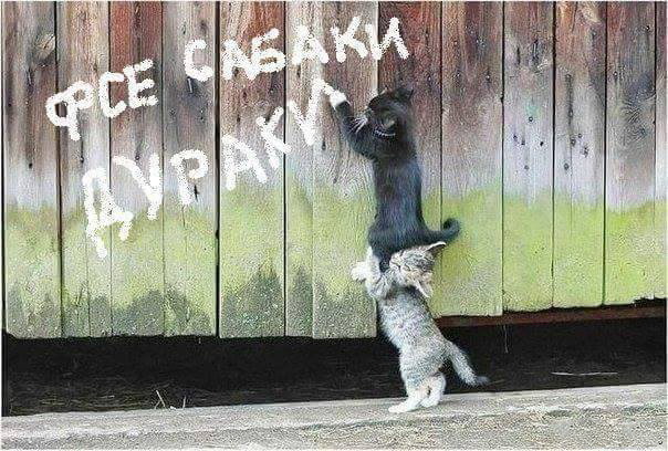 А давайте улыбнёмся