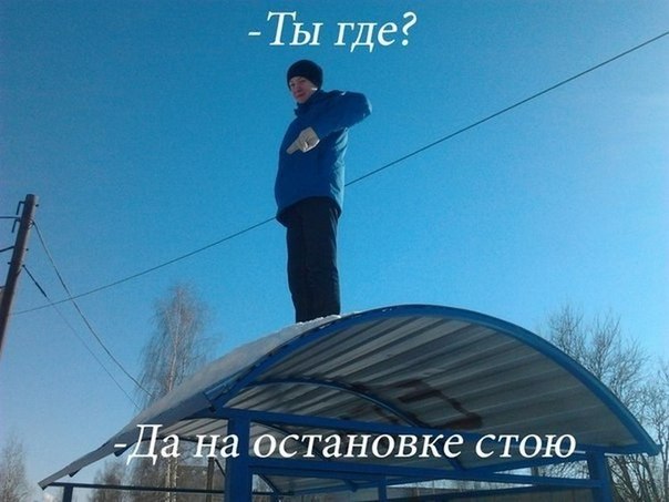 Забавные картинки из Сети