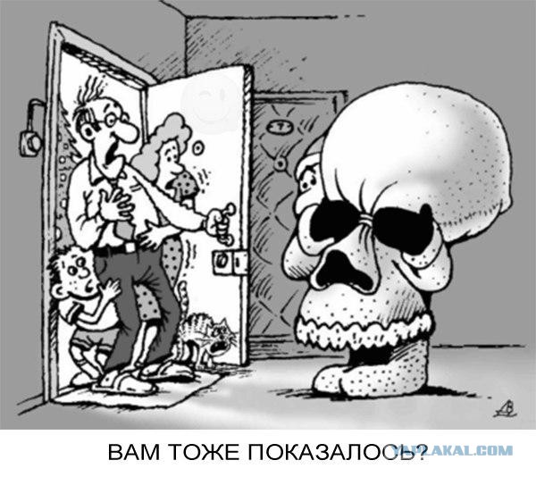 Веселые картинки.