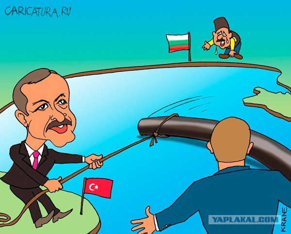 Карикатуры от Студии 13