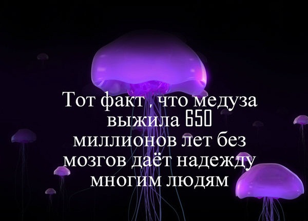 10 удивительных организмов, которые живут невероятно долго