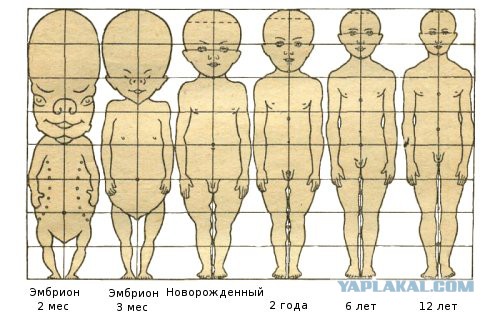 Сломал систему