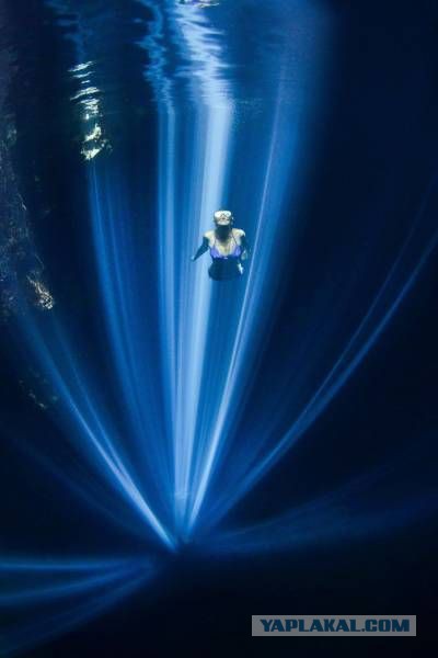 Подборка интересных и веселых фото