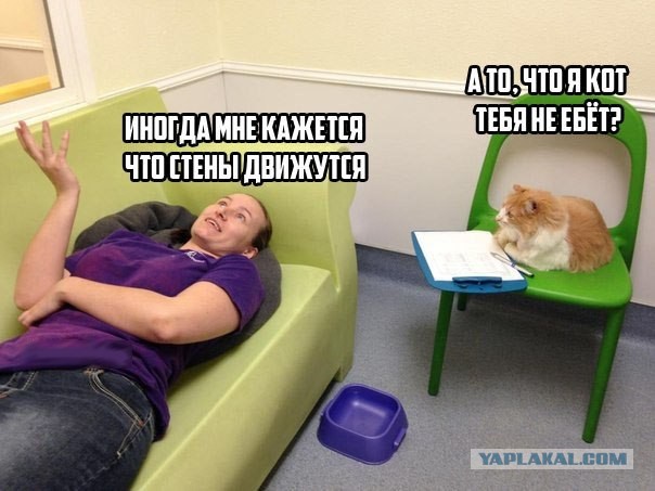 Просто 20 картинок из интернета...