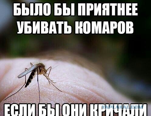 Смешные комментарии 12.06.2016