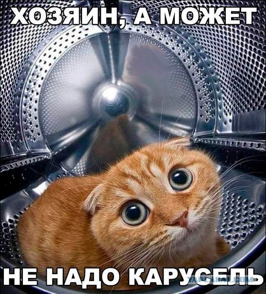 Подборка картинок и демотиваторов