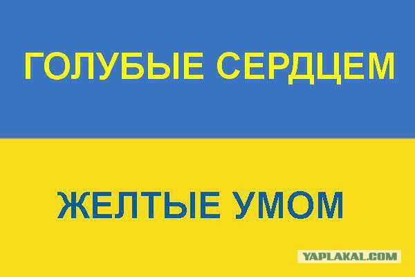 Замкнутый круг или неблагонадежный патриот Украины