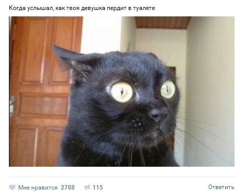 Ужасы и приколы из соцсетей 18+
