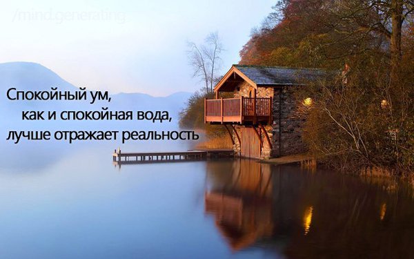 Картинки из интернетов