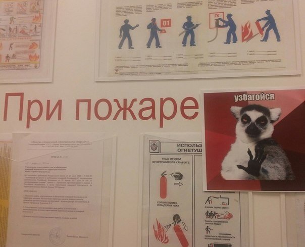 Нестандартный юмор