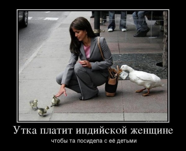 Подборка интересных и веселых картинок