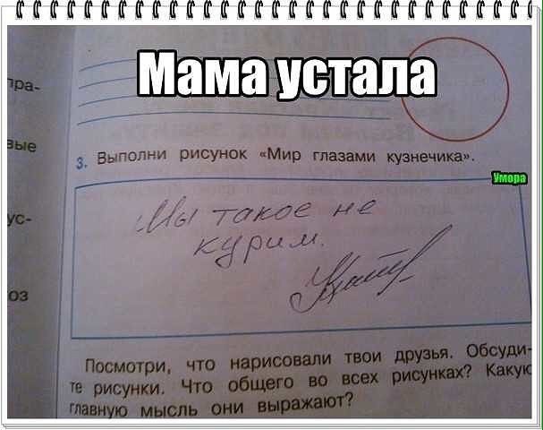 Порция картинок