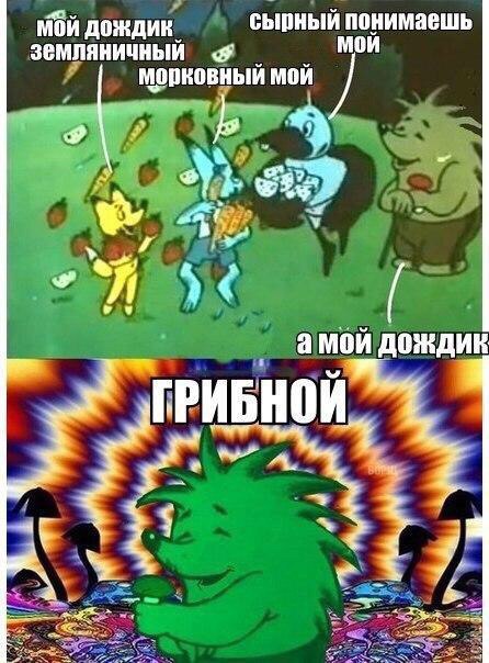 Абсурд зашкаливает